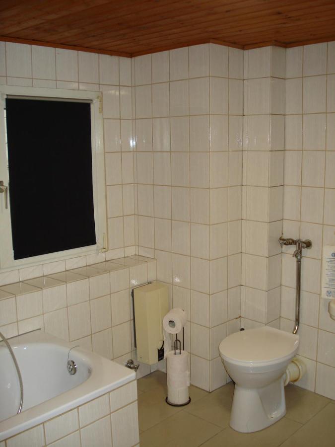 Appartement 25 Qm Mit Bad An Der Mosel - Naehe Koblenz Дібліх Екстер'єр фото